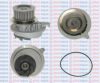 AQUAPLUS 85-2350 Water Pump